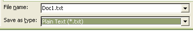 File type Plain Text has been selected