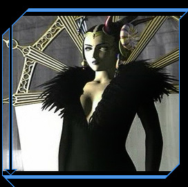 Sensus Contact File // Edea Kramer